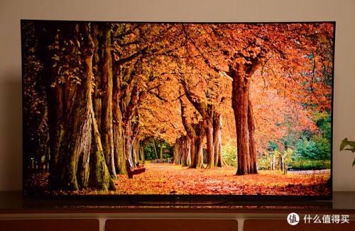 在家看球一样有现场体验 OLED电视就是这么神!